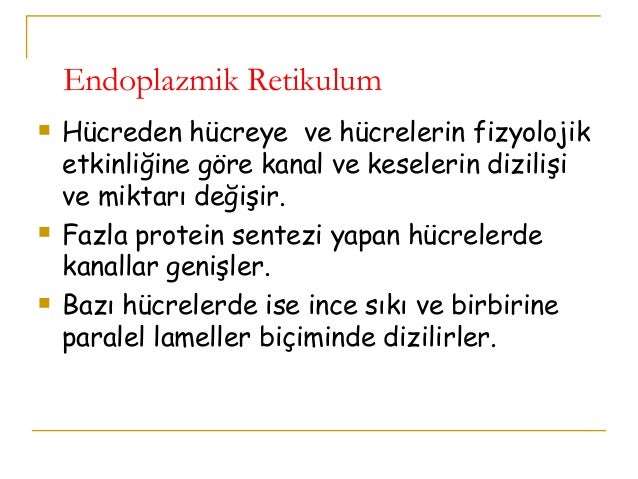 1.sÄ±nÄ±f2h endoplazmik retikulum