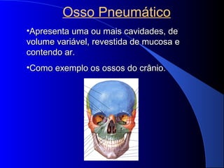 Osso Pneumático
•ApresentaApresenta uma ou mais cavidades, deuma ou mais cavidades, de
volume variável, revestida de mucosa evolume variável, revestida de mucosa e
contendo ar.contendo ar.
•Como exemplo os ossos do crânio.Como exemplo os ossos do crânio.
 