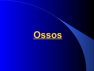 OssosOssos
 