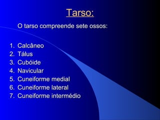 Tarso:
O tarso compreende sete ossos:O tarso compreende sete ossos:
1.1. CalcâneoCalcâneo
2.2. TálusTálus
3.3. CubóideCubóide
4.4. NavicularNavicular
5.5. Cuneiforme medialCuneiforme medial
6.6. Cuneiforme lateralCuneiforme lateral
7.7. Cuneiforme intermédioCuneiforme intermédio
 