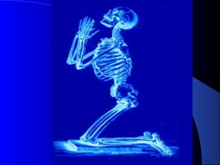 1.2.3   membro inferior