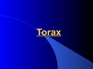 ToraxTorax
 