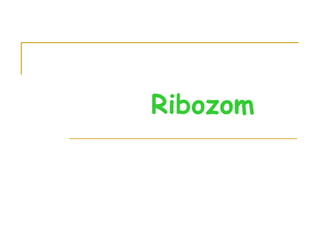 Ribozom
 