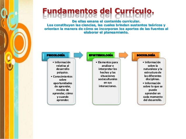 11 Fuentes Y Fundamentos Del Currículo