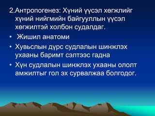 2.Антропогенез: Хүний үүсэл хөгжлийг
хүний нийгмийн байгууллын үүсэл
хөгжилтэй холбон судалдаг.
• Жишил анатоми
• Хувьслын дүрс судлалын шинжлэх
ухааны баримт сэлтээс гадна
• Хүн судлалын шинжлэх ухааны ололт
амжилтыг гол эх сурвалжаа болгодог.

 