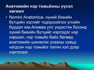 Анатомийн нэр томьёоны үүсэл
хөгжил
• Nomini Anatomica- хүний биеийн
бүтцийн хэсгийг тодорхойлох үгсийн
бүрдэл юм.Аливаа улс үндэстэн бүхэнд
хүний биеийн бүтцийг нэрлэдэг нэр
нэршил, нэр томьѐо байх бөгөөд
анатомийн шинжлэх ухааны хувьд
нэгдсэн нэр томьѐог латин хэл дээр
хэргэлдэг.

 
