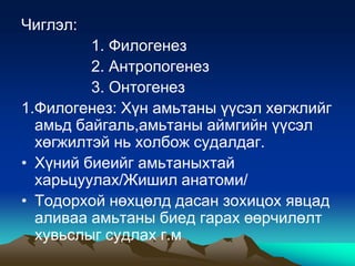 Чиглэл:
1. Филогенез
2. Антропогенез
3. Онтогенез
1.Филогенез: Хүн амьтаны үүсэл хөгжлийг
амьд байгаль,амьтаны аймгийн үүсэл
хөгжилтэй нь холбож судалдаг.
• Хүний биеийг амьтаныхтай
харьцуулах/Жишил анатоми/
• Тодорхой нөхцөлд дасан зохицох явцад
аливаа амьтаны биед гарах өөрчилөлт
хувьслыг судлах г.м

 