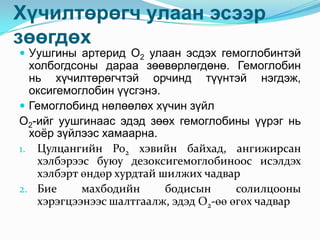 Хүчилтөрөгч улаан эсээр
зөөгдөх

 Уушгины артерид О2 улаан эсдэх гемоглобинтэй

холбогдсоны дараа зөөвөрлөгдөнө. Гемоглобин
нь хүчилтөрөгчтэй орчинд түүнтэй нэгдэж,
оксигемоглобин үүсгэнэ.
 Гемоглобинд нөлөөлөх хүчин зүйл
О2-ийг уушгинаас эдэд зөөх гемоглобины үүрэг нь
хоѐр зүйлээс хамаарна.
1. Цулцангийн Ро2 хэвийн байхад, ангижирсан
хэлбэрээс буюу дезоксигемоглобиноос исэлдэх
хэлбэрт өндөр хурдтай шилжих чадвар
2. Бие
махбодийн
бодисын
солилцооны
хэрэгцээнээс шалтгаалж, эдэд О2-өө өгөх чадвар

 