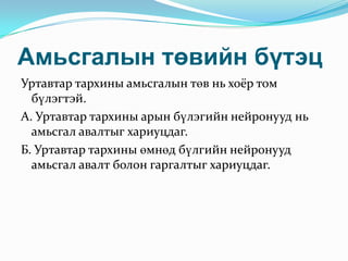 Амьсгалын төвийн бүтэц
Уртавтар тархины амьсгалын төв нь хоёр том
бүлэгтэй.
А. Уртавтар тархины арын бүлэгийн нейронууд нь
амьсгал авалтыг хариуцдаг.
Б. Уртавтар тархины өмнөд бүлгийн нейронууд
амьсгал авалт болон гаргалтыг хариуцдаг.

 