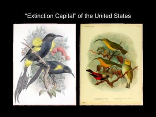 “Extinction Capital” of the United States

 