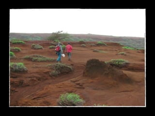 1.1 introducing-invasives OCT 2103