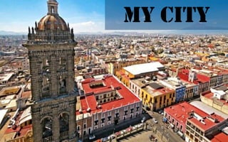 My City

 