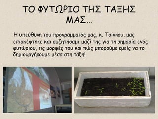 ΤΟ ΦΥΤΩΡΙΟ ΤΗΣ ΤΑΞΗΣ
ΜΑΣ…
Η υπεύθυνη του προγράμματός μας, κ. Τσίγκου, μας
επισκέφτηκε και συζητήσαμε μαζί της για τη σημασία ενός
φυτώριου, τις μορφές του και πώς μπορούμε εμείς να το
δημιουργήσουμε μέσα στη τάξη!

 