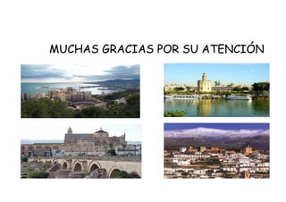 MUCHAS GRACIAS POR SU ATENCIÓN

 