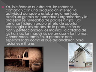 

Ya, iniciándose nuestra era, los romanos
contaban con una producción intensa; la
actividad panadera estaba reglamentada,
existía un gremio de panaderos organizados y la
profesión se heredaba de padres a hijos. Los
romanos hicieron propio el reto de aportar
tecnología a las etapas de la producción del
pan y perfeccionaron los molinos, la calidad de
las harinas, las máquinas de amasar y los hornos.
Comenzaron, también, a preparar pan
especializado como el que desarrollaron para
raciones militares.

 