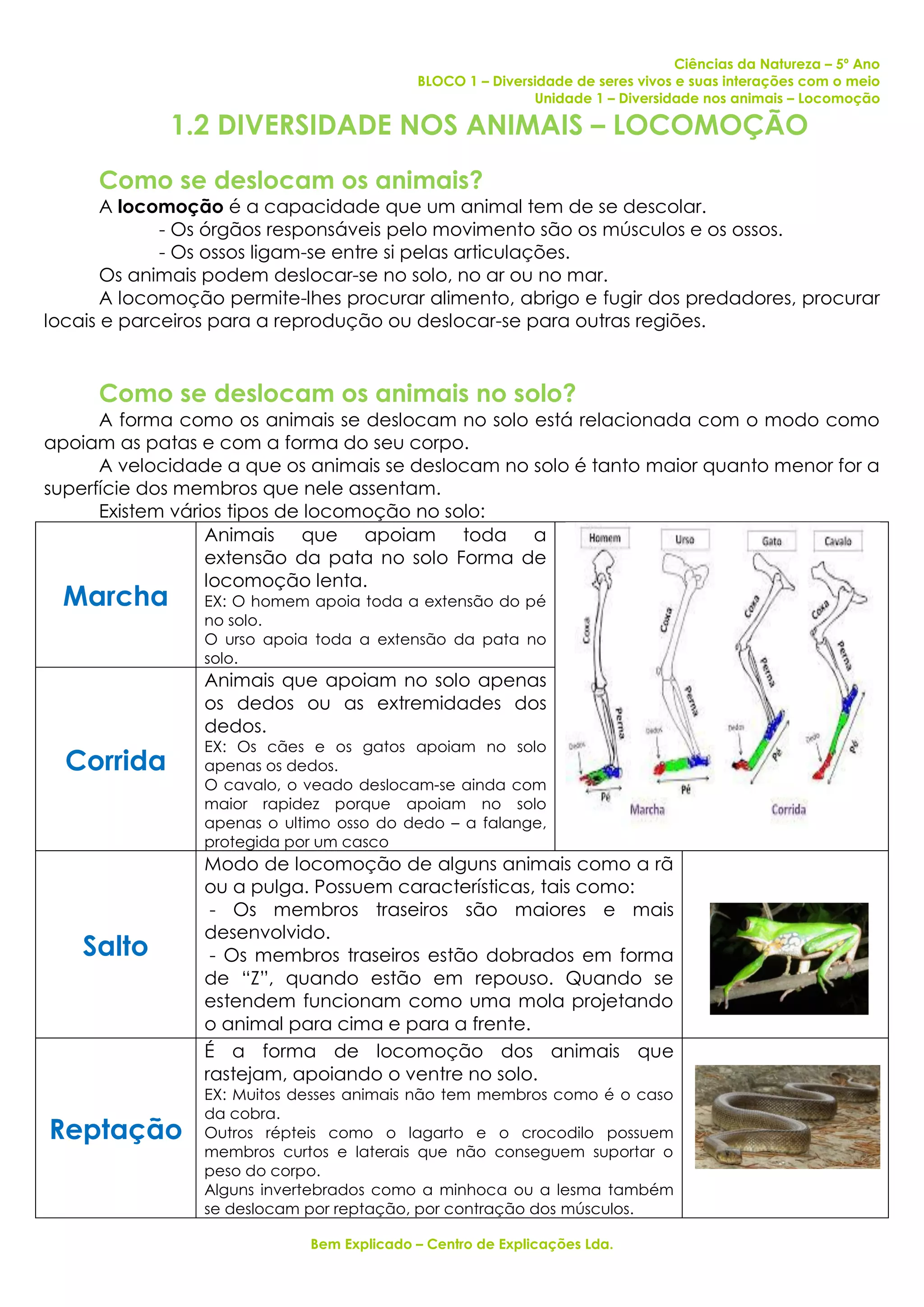 1.2 diversidade dos animais - locomoção - ficha informativa | PDF