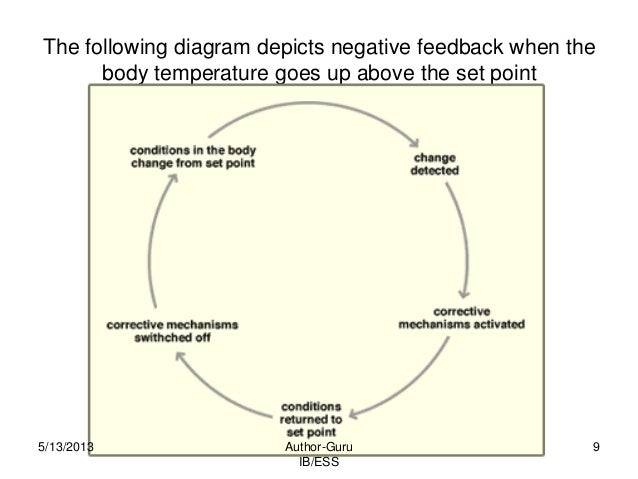 1.1.6 body temperature feedback diagram 