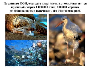 По данным ООН, ежегодно пластиковые отходы становятся
причиной смерти 1 000 000 птиц, 100 000 морских
млекопитающих и неисчислимого количества рыб.

 