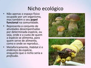 Nicho ecológico
• Não apenas o espaço físico
ocupado por um organismo,
mas também o seu papel
funcional na comunidade.
• Representa o conjunto de
atividades desempenhadas
por determinada espécie, ou
seja, onde e a custa de quem
a espécie se alimenta, para
quem serve de alimento,
como e onde se reproduz..
• Metaforicamente, Habitat é o
endereço da espécie,
enquanto que o nicho seria a
profissão.

 