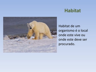 Habitat
Habitat de um
organismo é o local
onde este vive ou
onde este deve ser
procurado.

 