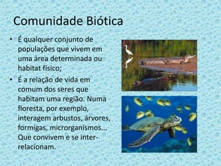 Comunidade Biótica
• É qualquer conjunto de
populações que vivem em
uma área determinada ou
habitat físico;
• É a relação de vida em
comum dos seres que
habitam uma região. Numa
floresta, por exemplo,
interagem arbustos, árvores,
formigas, microrganismos...
Que convivem e se interrelacionam.

 