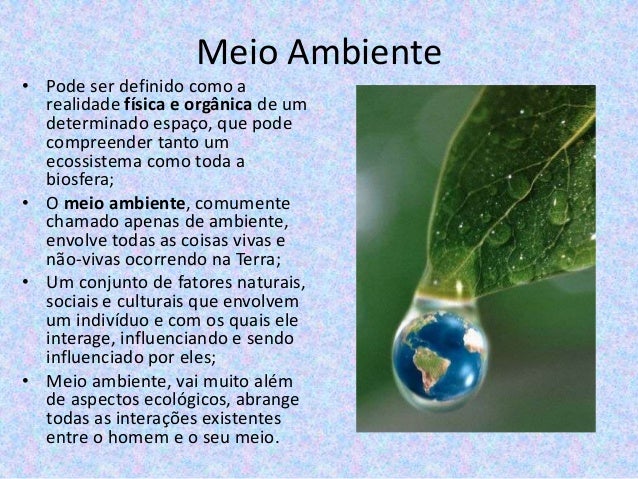 Meio ambiente e ecologia: conceitos.