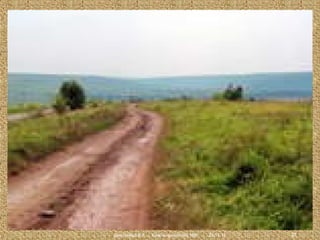 Дмитриева В.А., Красноармейский НВК

23.11.13

27

 