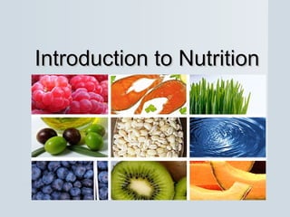 Introduction to Nutrition

 