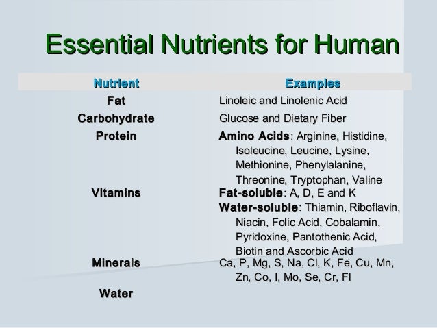 to how vitamins metabolism increase nutrition Introduction to to how vitamins metabolism increase nutrition Introduction to