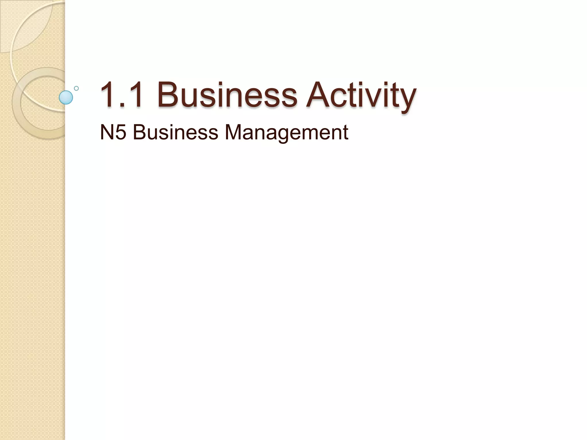 National 5 Business Management 1.1 Business Activity | PPTX
