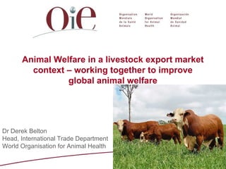 Animal Welfare in a livestock export market
context – working together to improve
global animal welfare

Dr Derek Belton
Head, International Trade Department
World Organisation for Animal Health

 