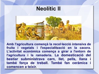 Neolític III
Amb l'arribada de l'agricultura sedentària, es
desenvolupen una varietat d'eines per preparar i
treballar la ...
