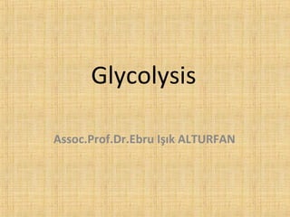 Glycolysis
Assoc.Prof.Dr.Ebru Işık ALTURFAN

 