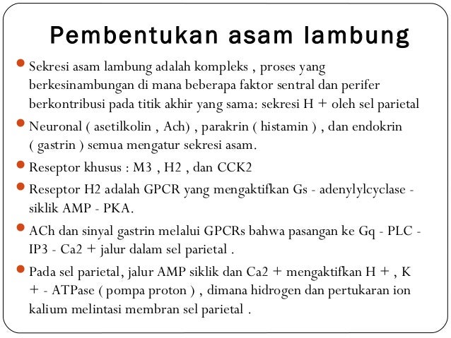 Pengobatan Asam Urat Berdasarkan Islam Caramengobatiasamuratdanguladarah Pengobatan Asam Urat Berdasarkan Islam Caramengobatiasamuratdanguladarah