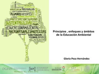 Principios , enfoques y ámbitos
de la Educación Ambiental

Gloria Peza Hernández

05/12/2013

Monterrey, N.L. Enero, 2012

1

 