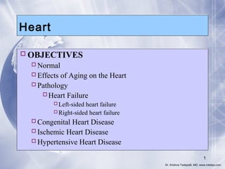 Heart
 OBJECTIVES
 Normal
 Effects of Aging on the Heart
 Pathology
Heart Failure
Left-sided heart failure
Right-sided heart failure

 Congenital Heart Disease
 Ischemic Heart Disease
 Hypertensive Heart Disease
1
Dr. Krishna Tadepalli, MD, www.mletips.com

 