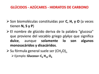 GLÚCIDOS - AZÚCARES - HIDRATOS DE CARBONO

 Son biomoléculas constituidas por C, H, y O (a veces
tienen N, S y P)
 El nombre de glúcido deriva de la palabra "glucosa"
que proviene del vocablo griego glykys que significa
dulce, aunque solamente lo son algunos
monosacáridos y disacáridos.
 Su fórmula general suele ser (CH2O)n
 Ejemplo: Glucosa= C6 H12 O6

 