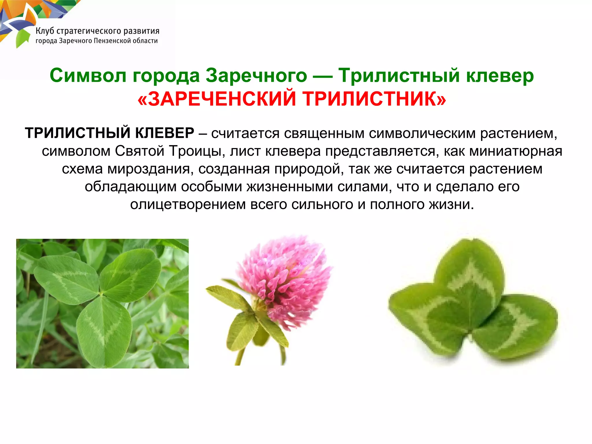 Символ города Заречного — Трилистный клевер
«ЗАРЕЧЕНСКИЙ ТРИЛИСТНИК»
ТРИЛИСТНЫЙ КЛЕВЕР – считается священным символическим растением,
символом Святой Троицы, лист клевера представляется, как миниатюрная
схема мироздания, созданная природой, так же считается растением
обладающим особыми жизненными силами, что и сделало его
олицетворением всего сильного и полного жизни.

 
