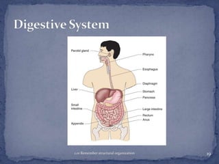 1.01 Remember structural organization

19

 