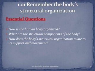Essential Questions
 How is the human body organized?
 What are the structural components of the body?
 How does the body’s structural organization relate to

its support and movement?

1.01 Remember structural organization

2

 
