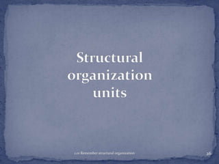 1.01 Remember structural organization

26

 