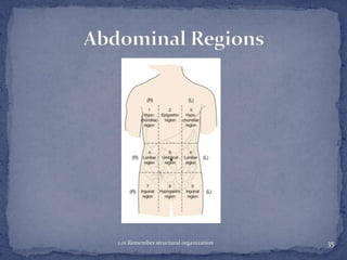 1.01 Remember structural organization

35

 