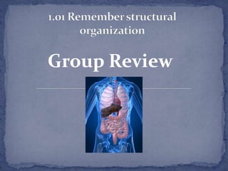 Group Review

 