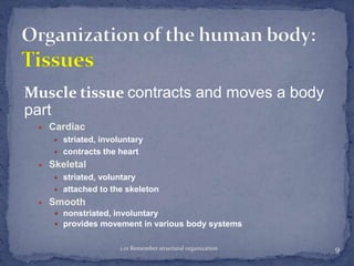 Muscle tissue contracts and moves a body
part
Cardiac
striated, involuntary
contracts the heart

Skeletal
striated, voluntary
attached to the skeleton

Smooth
 nonstriated, involuntary
 provides movement in various body systems
1.01 Remember structural organization

9

 