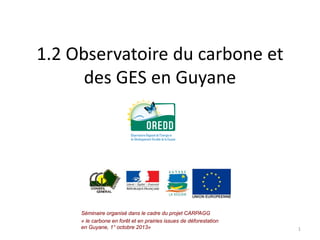 1.2 Observatoire du carbone et
des GES en Guyane

Séminaire organisé dans le cadre du projet CARPAGG
« le carbone en forêt et en prairies issues de déforestation
en Guyane, 1° octobre 2013»

1

 