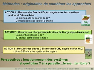 Méthodes : originalités de combiner les approches
ACTION 1 : Mesures des flux de CO2 échangés entre l'écosystème
prairial et l'atmosphère
- La prairie puits ou source de C ?
- Comparaison avec la forêt d’origine

CO2
échangé

ACTION 2 : Mesures des changements de stock de C organique dans le sol
- Comment est stocké le C ?
- où et pour combien de temps ?

ACTION 3 : Mesures des autres GES (méthane CH4, oxyde nitreux N2O)
- bilan GES dans les systèmes herbagers :

Perspectives : fonctionnement des systèmes
et quel bilan C à la parcelle…ferme…territoire ?
Le carbone en forêt et en prairies issues de déforestation en Guyane, 1° octobre 2013

11

 