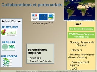 Collaborations et partenariats

Scientifiques

cofinancé par l’UE

SELMET, BSEF

Local
Bio Savane Sinnamary
ETVM Elevage Tourisme
Vert Macouria

. Scebog, Paysans de
Guyane

UREP, URZ

Scientifiques
Régional
UMR ECOFOG

. EMBRAPA
Amazônia Oriental

. Eleveurs
. Instituts Techniques
(Ikare, Cetiom)
. Enseignement
agricole
. UAG

Le carbone en forêt et en prairies issues de déforestation en Guyane, 1° octobre 2013

5

 