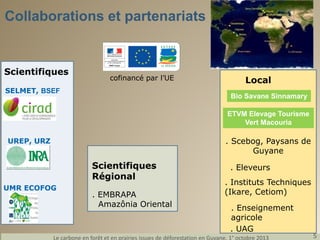 Collaborations et partenariats

Scientifiques

cofinancé par l’UE

SELMET, BSEF

Local
Bio Savane Sinnamary
ETVM Elevage T...