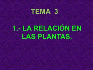 TEMA 3
1.- LA RELACIÓN EN
LAS PLANTAS.

 