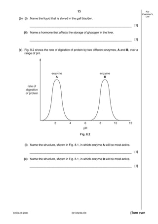 13

For
Examiner's
Use

(b) (i) Name the liquid that is stored in the gall bladder.
[1]
(ii) Name a hormone that affects the storage of glycogen in the liver.
[1]

(c) Fig. 8.2 shows the rate of digestion of protein by two different enzymes, A and B, over a
range of pH.

enzyme
A

enzyme
B

rate of
digestion
of protein

2

4

6

8

10

12

pH
Fig. 8.2

(i) Name the structure, shown in Fig. 8.1, in which enzyme A will be most active.
[1]
(ii) Name the structure, shown in Fig. 8.1, in which enzyme B will be most active.
[1]

© UCLES 2006

0610/02/M/J/06

[Turn over

 